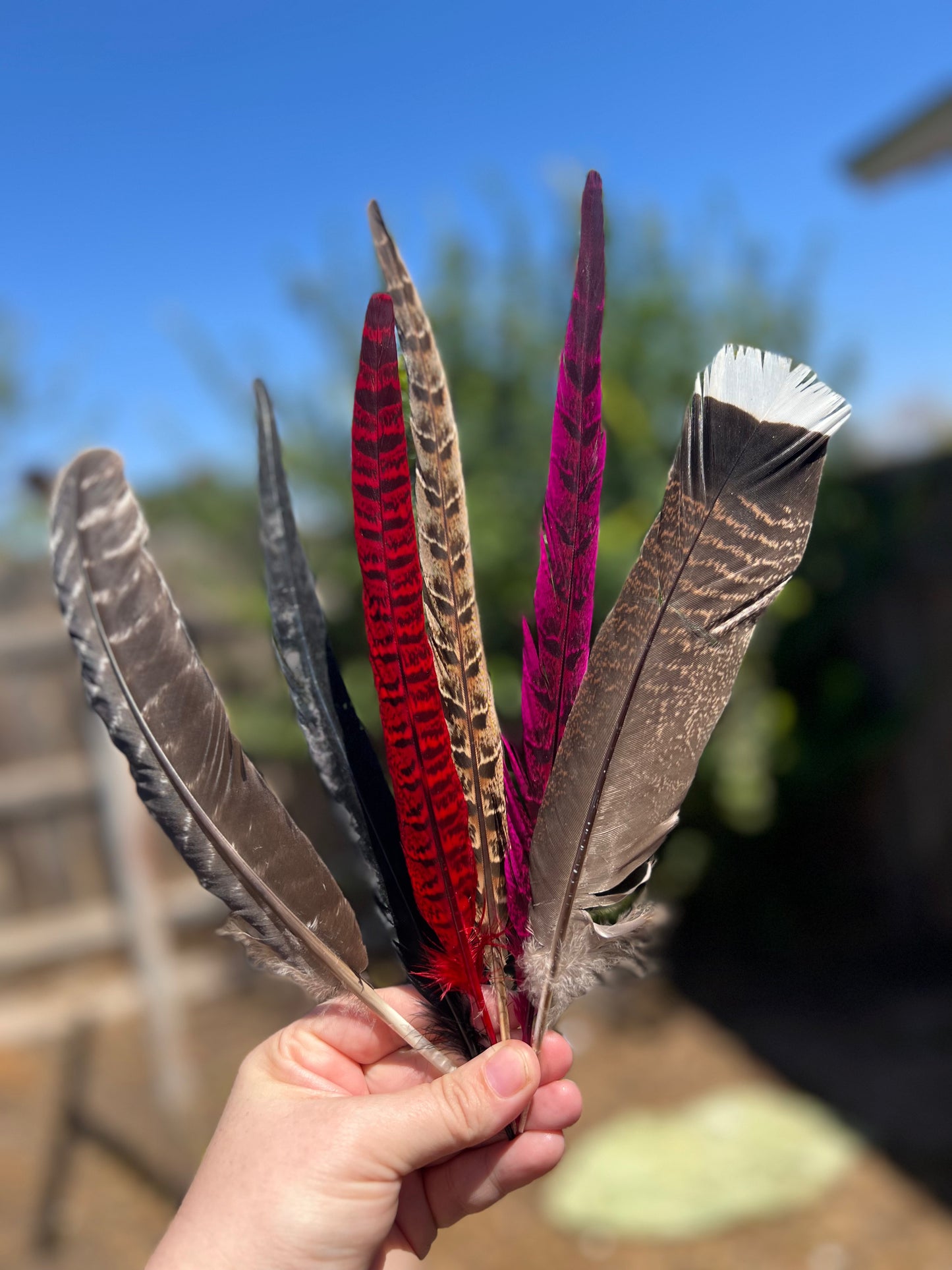 Feather